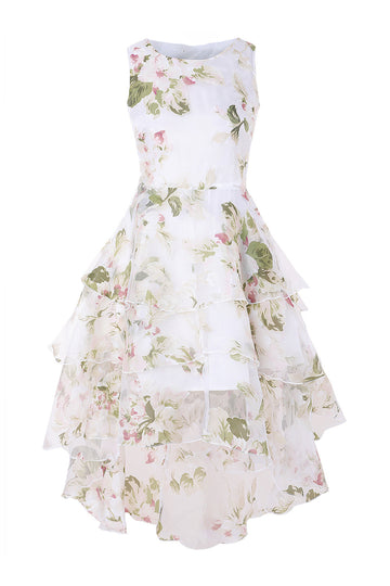 Printed Layered Retro Style Dress